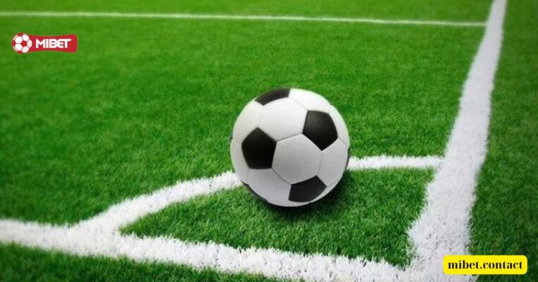 Cách hình thức cá cược khác trong kèo chẵn lẻ