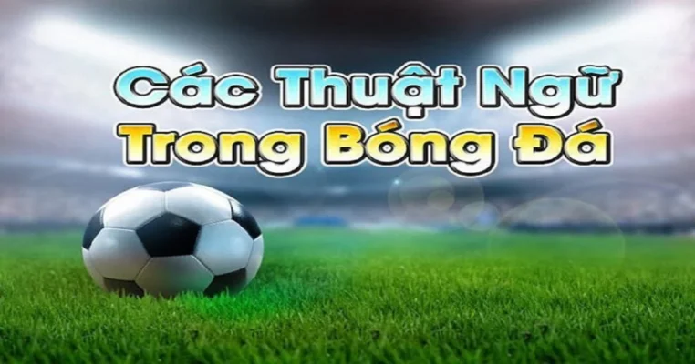 Thuật ngữ cá độ bóng đá và các loại kèo cá độ phổ biến