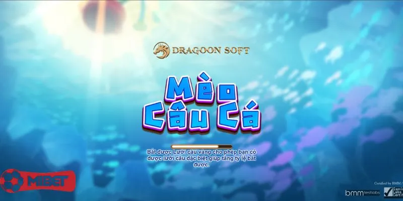 Mèo Câu Cá Mibet - Hốt Bạc Dễ Dàng Dưới Lòng Đại Dương